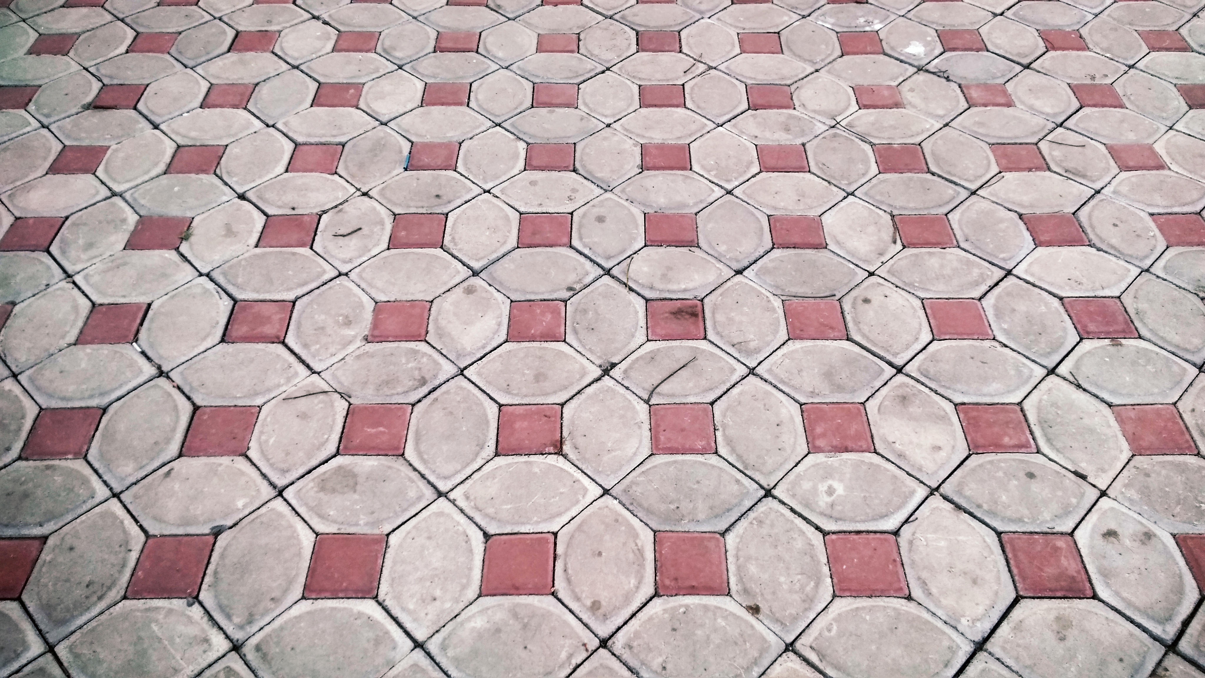 Proyek Paving Block 5